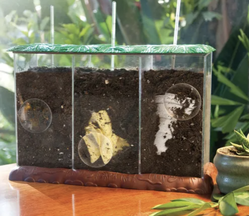 Kids' composting kits for STEM gifts