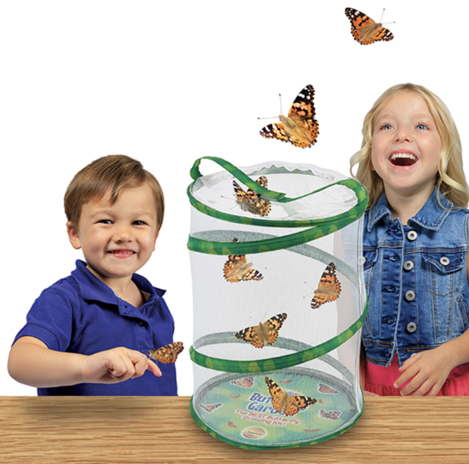 Butterfly garden STEM gift for kids