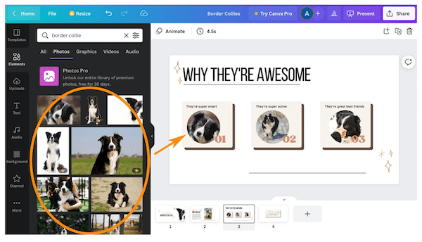 Add photos to your presentation in Canva