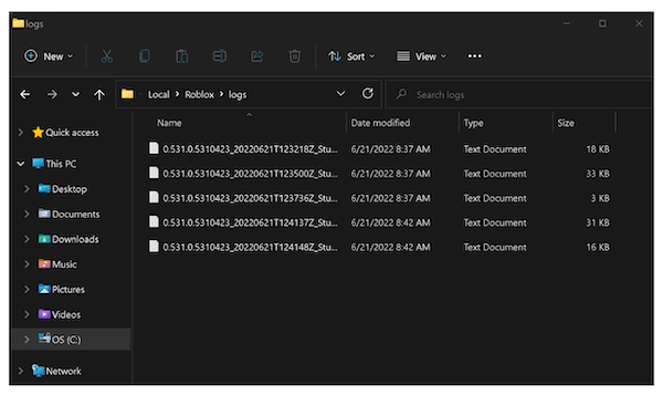 Computer log files in Roblox
