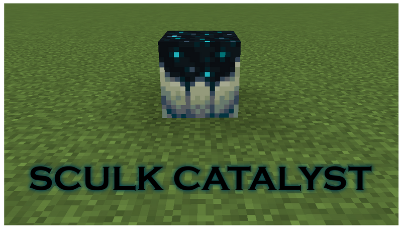 Sculk Blocks in Minecraft: All Types Revealed!