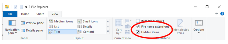 Show hidden items and file extensions