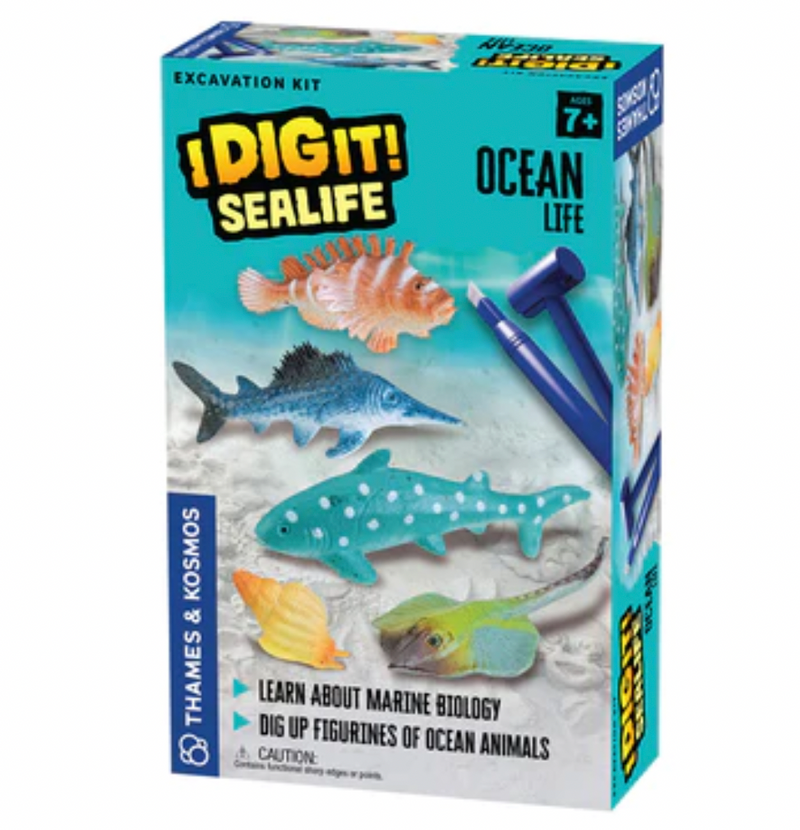 SeaLife dig gift for kids